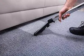 Limpeza profissional de tapetes com equipamento adequado