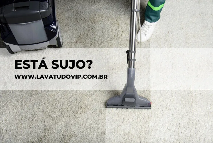 Profissional limpando carpete com aspirador na sala.
