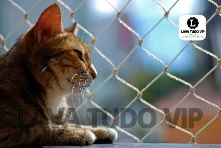 Gato relaxando ao lado de rede de proteção em ambiente seguro.