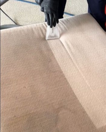 Processo de limpeza de estofado com ferramenta específica, mostrando a remoção de sujeira.